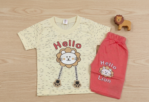 Short sleeve t-shirt and shorts